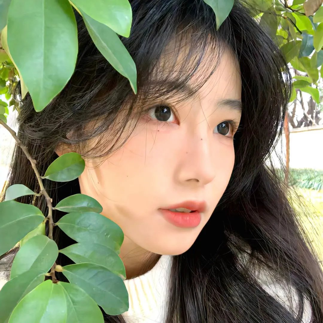 职场小烈第二季