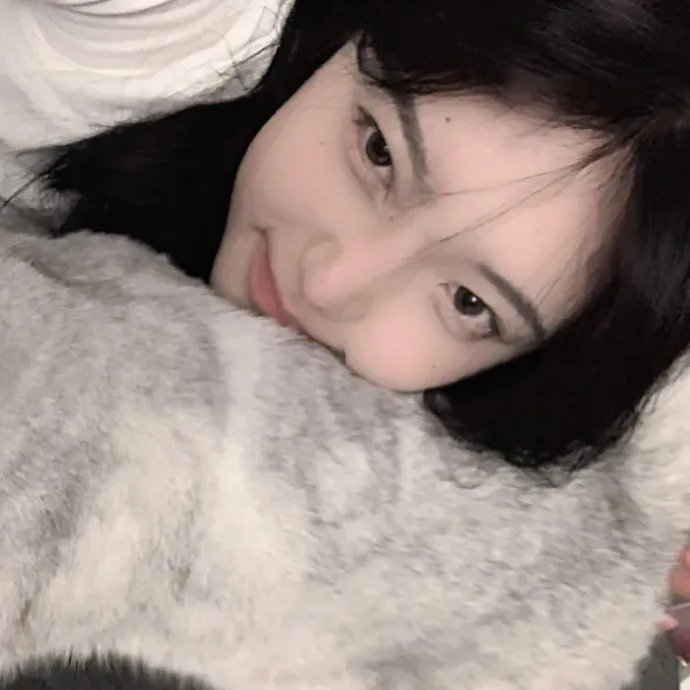 芭比的完美圣诞